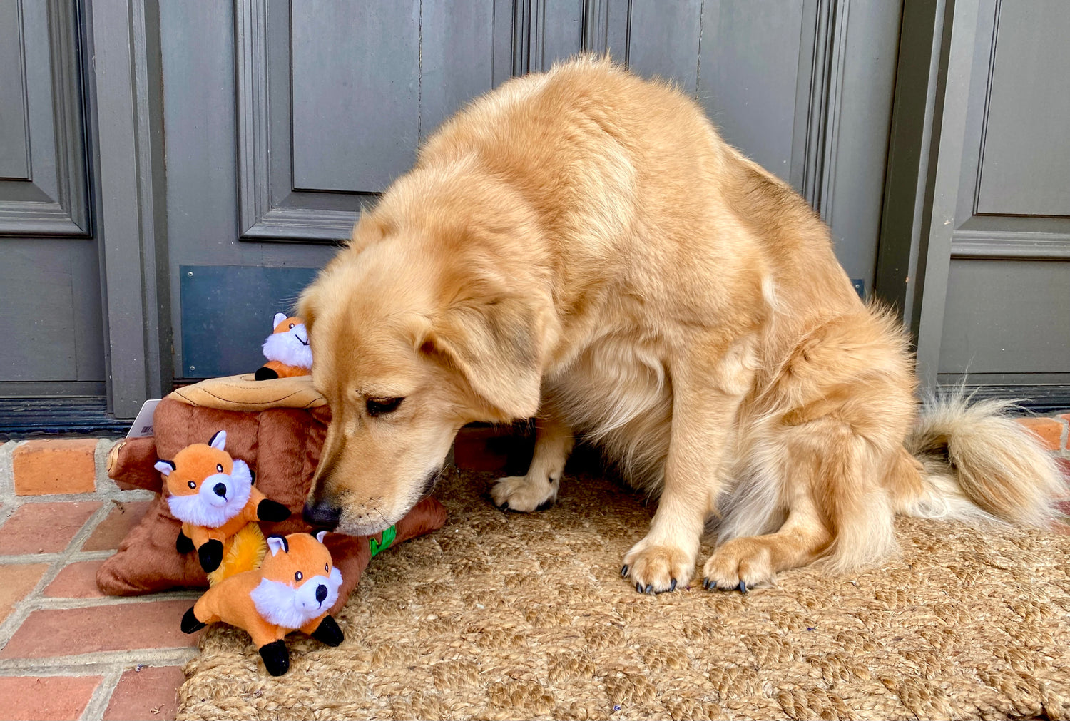 DOG TOYS FOR YOUR FURRY FRIENDS